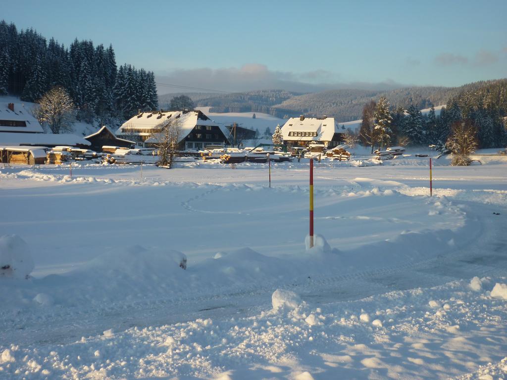 Hotel Zum Löwen - Unteres Wirtshaus Titisee-Neustadt Exterior foto