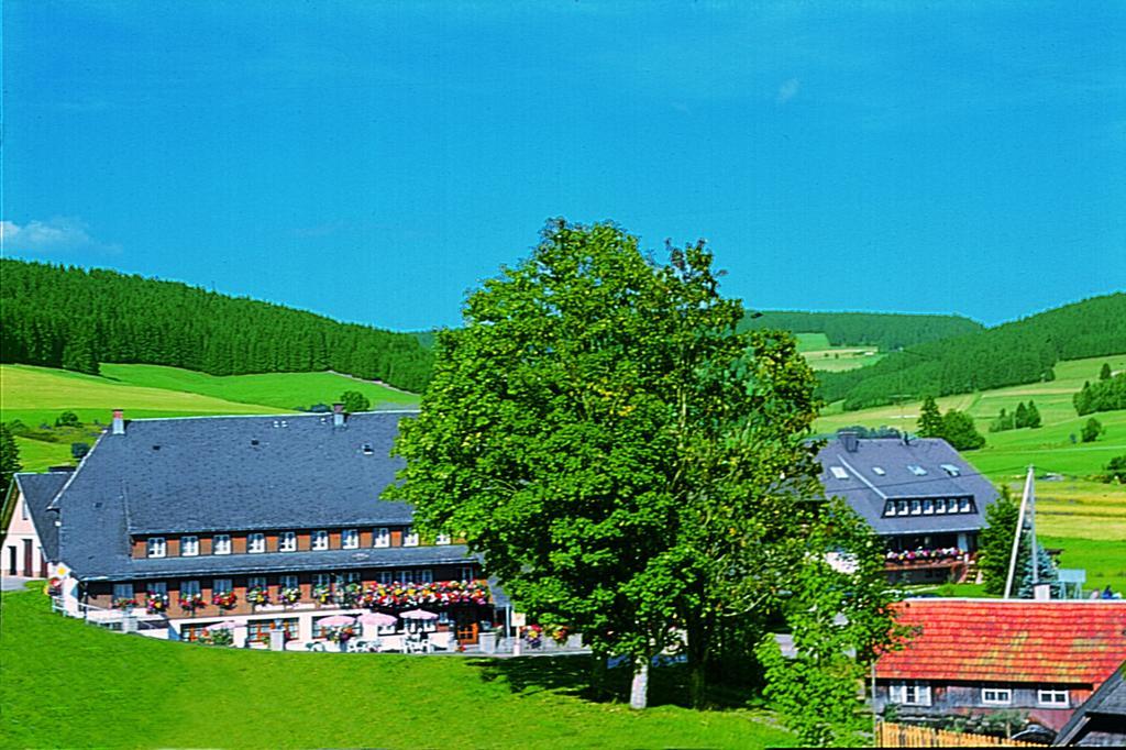 Hotel Zum Löwen - Unteres Wirtshaus Titisee-Neustadt Exterior foto